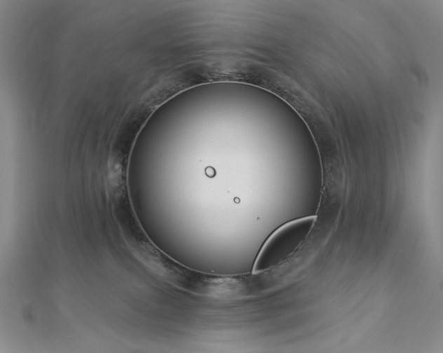 X0000113020087200908271443