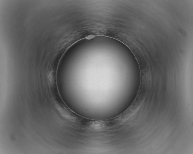 X0000113020088200908271443