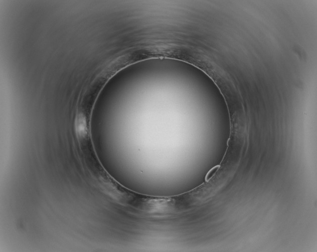 X0000113020089200908271443