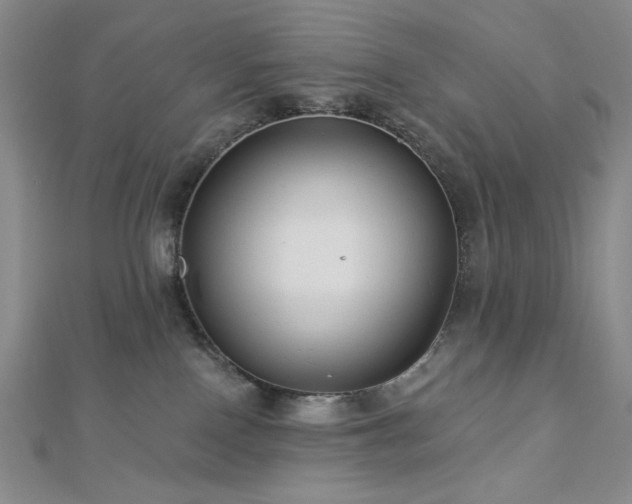 X0000113020090200908271443