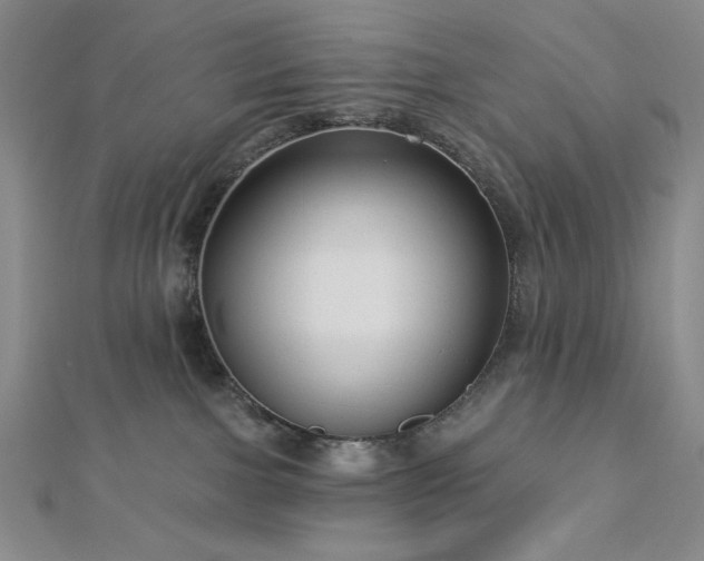 X0000113020091200908271443