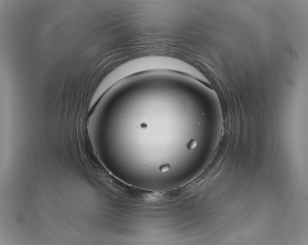 X0000113020092200908271443