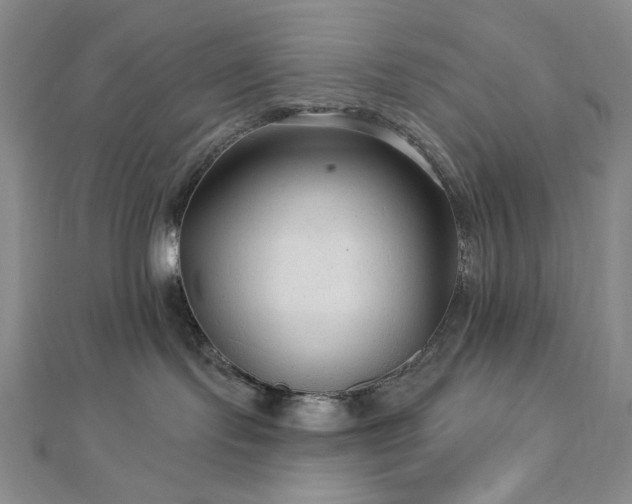 X0000113020095200908271443