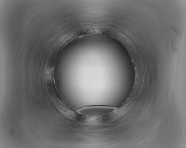 X0000113020096200908271443