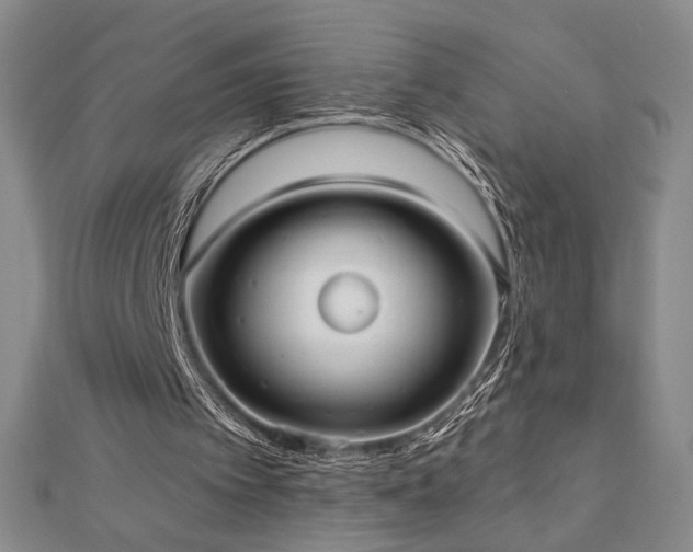 X0000113020097200908271442