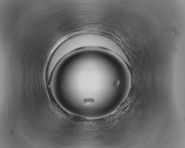 X0000113020100200908271442