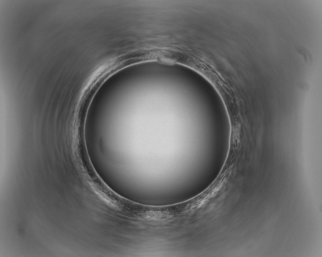 X0000113020101200908271442
