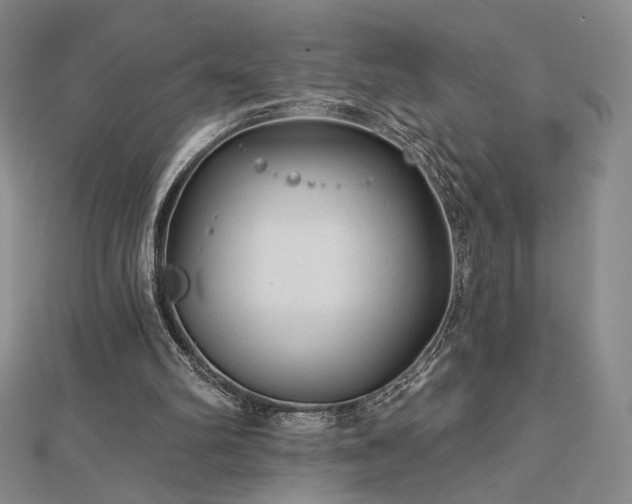 X0000113020102200908271442