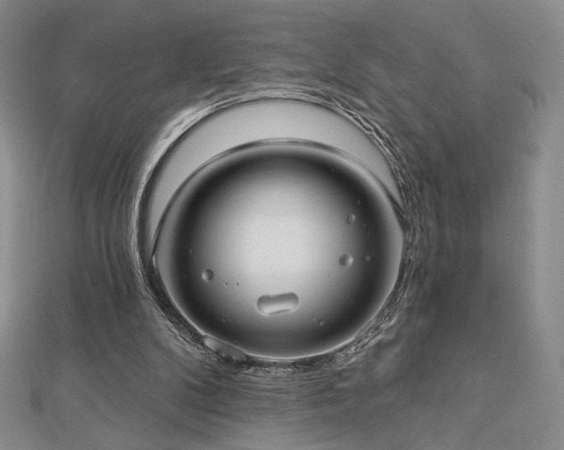 X0000113020104200908271442
