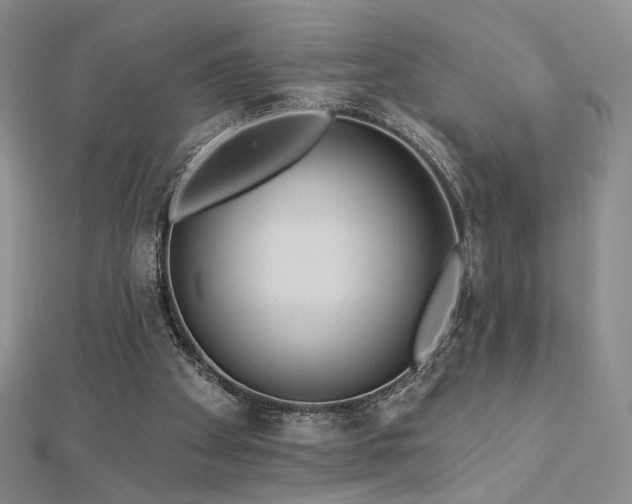 X0000113020105200908271442