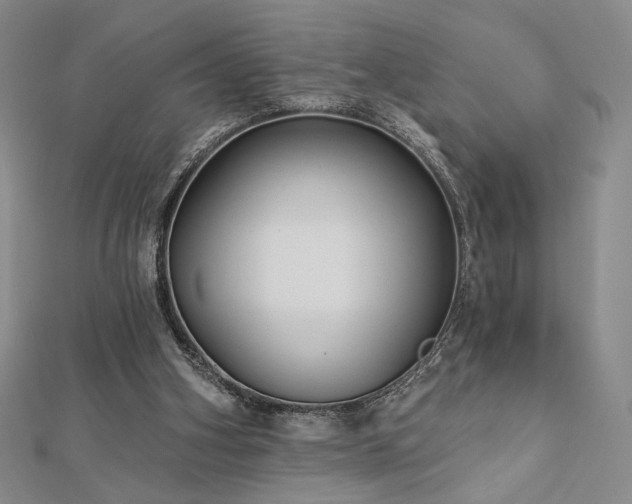 X0000113020106200908271442