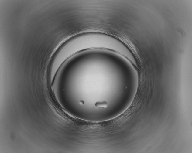X0000113020108200908271442