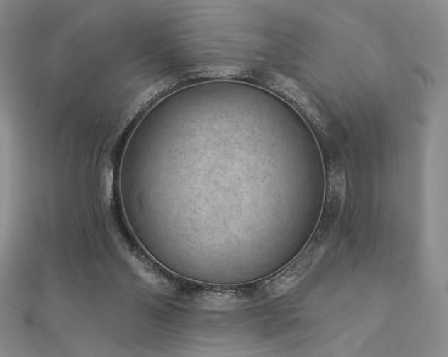 X0000113020110200908271442