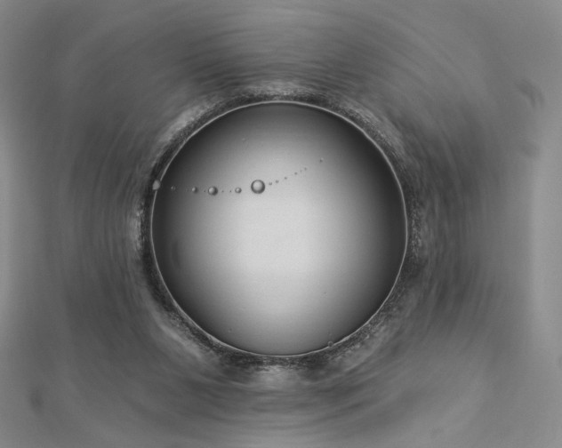 X0000113020111200908271442