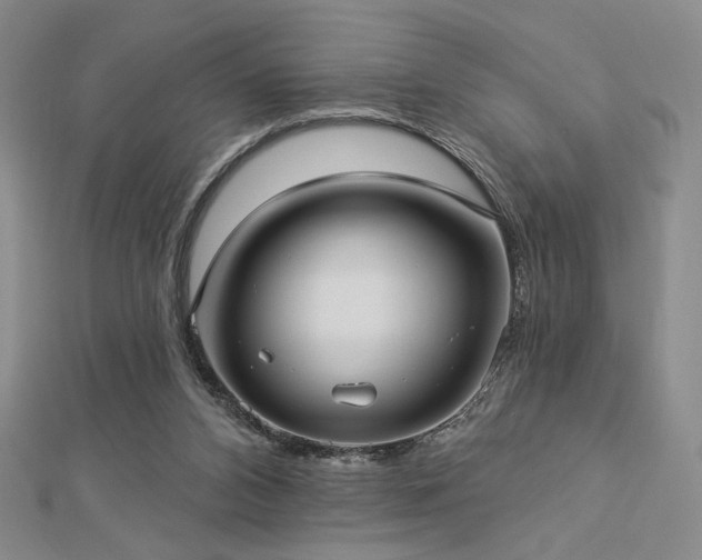 X0000113020112200908271442