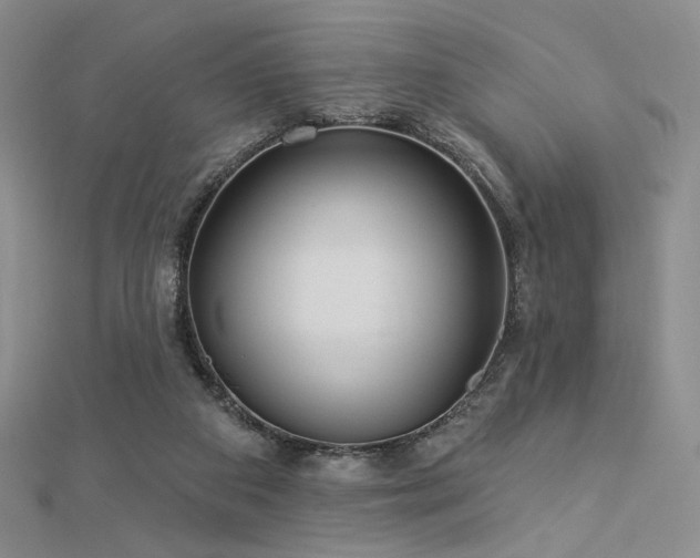 X0000113020113200908271442