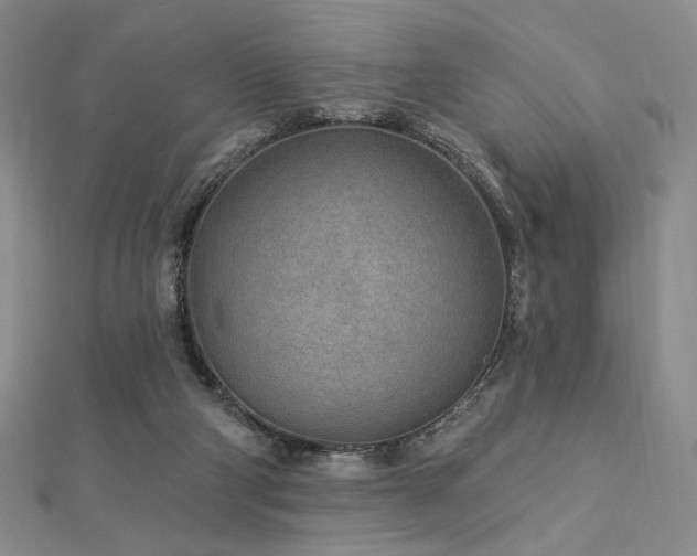 X0000113020114200908271442