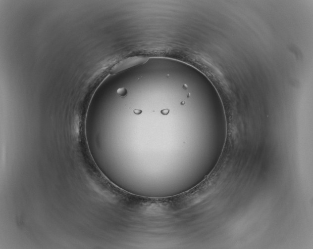 X0000113020115200908271442
