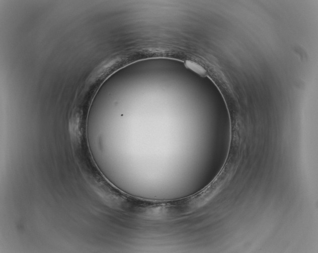 X0000113020116200908271442