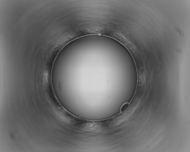 X0000113020117200908271442