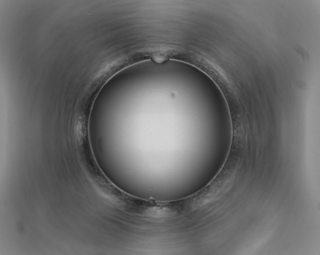 X0000113020119200908271442