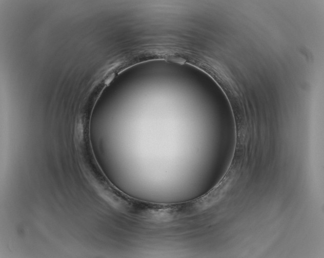 X0000113020120200908271442