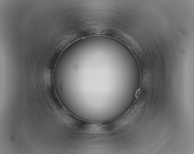 X0000113020121200908271442