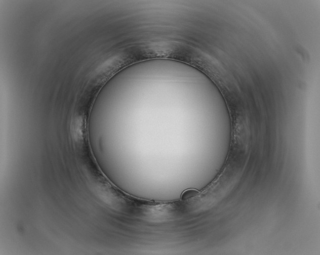 X0000113020122200908271442