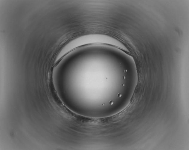 X0000113020124200908271442