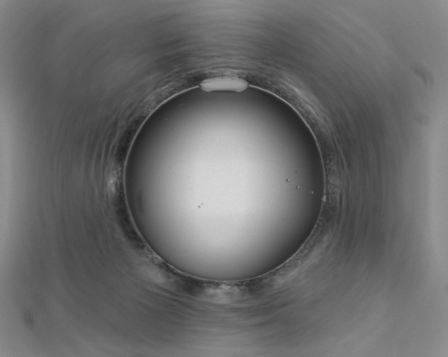 X0000113020125200908271442