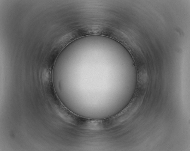 X0000113020126200908271442