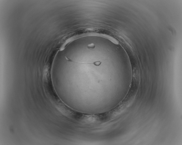 X0000113020127200908271442