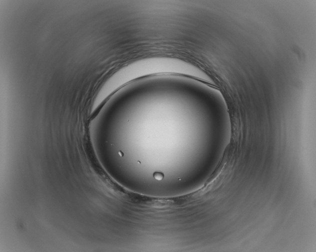 X0000113020128200908271442