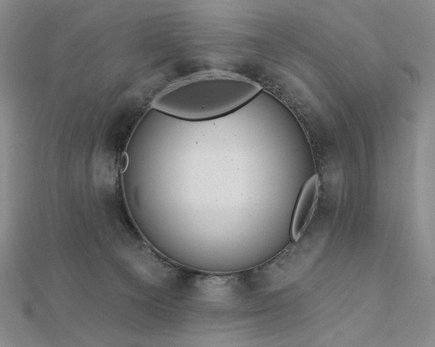 X0000113020129200908271442