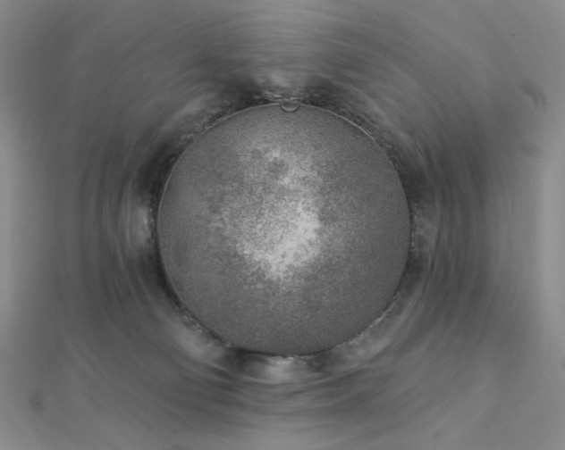 X0000113020130200908271442