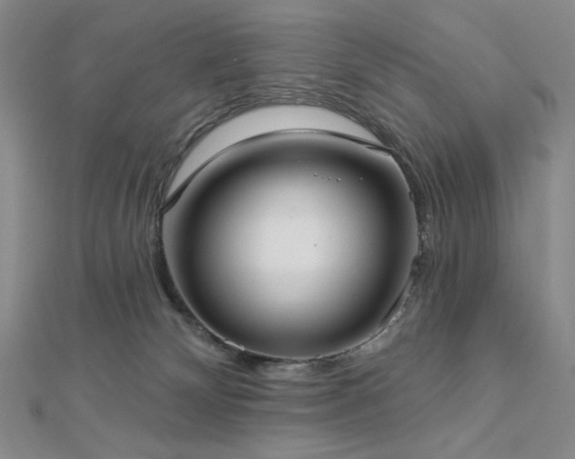 X0000113020132200908271442