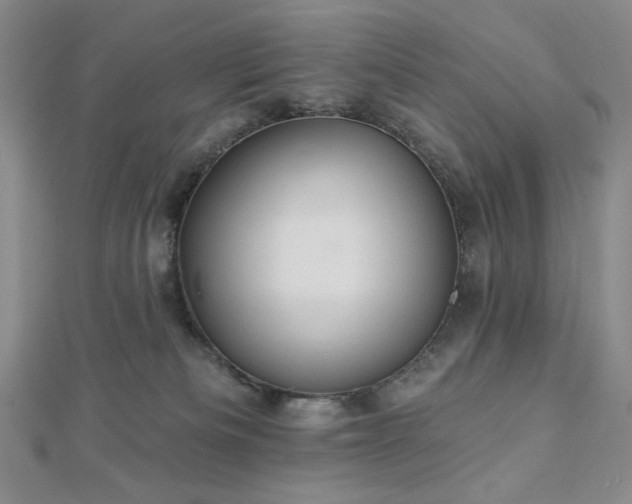 X0000113020133200908271442