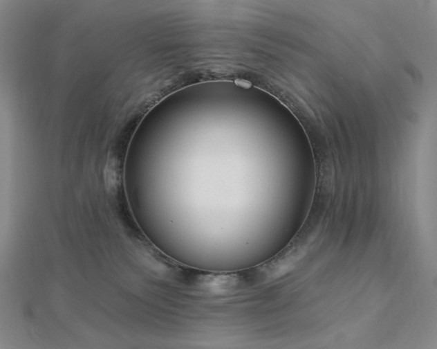 X0000113020135200908271442