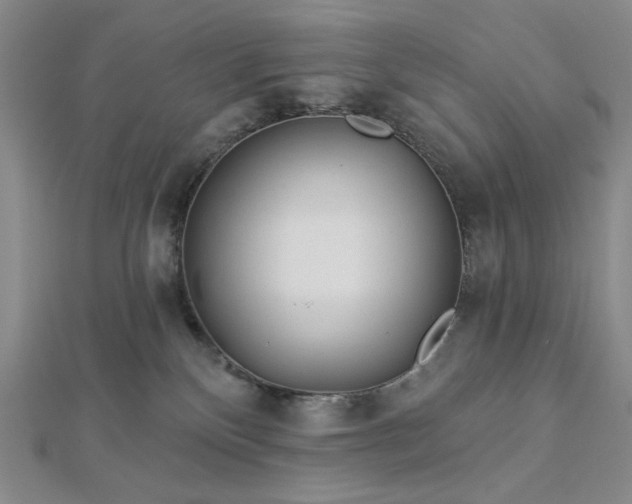 X0000113020136200908271442