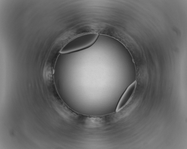 X0000113020137200908271442