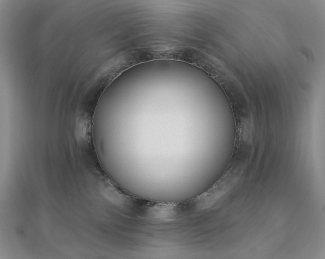 X0000113020138200908271442