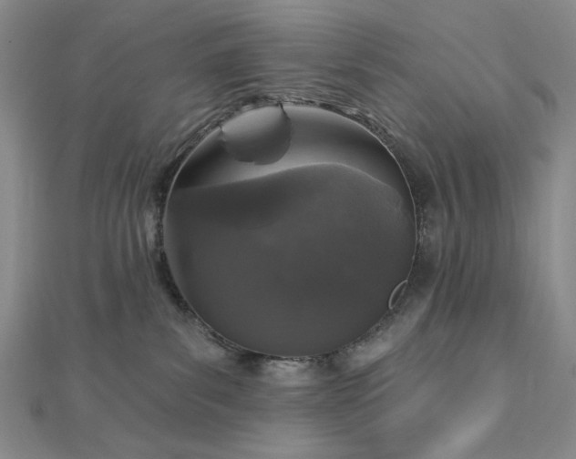X0000113020139200908271442