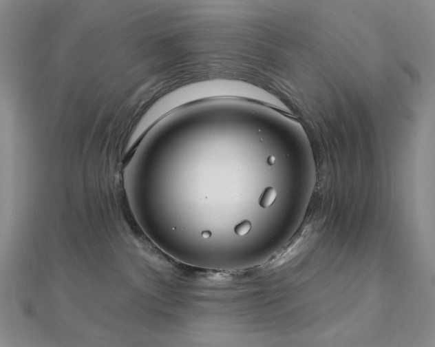 X0000113020140200908271441