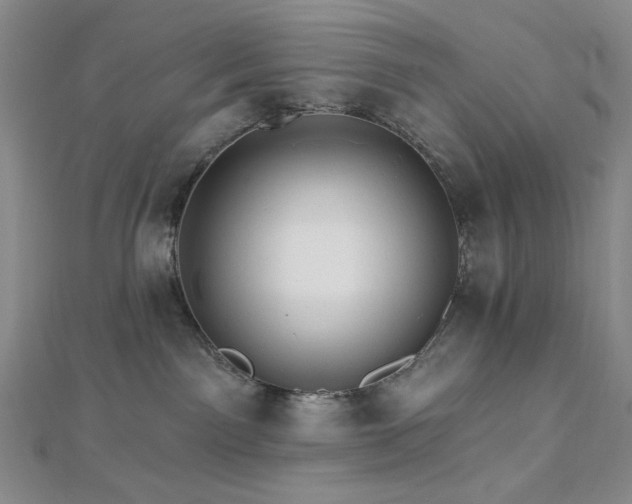 X0000113020141200908271441