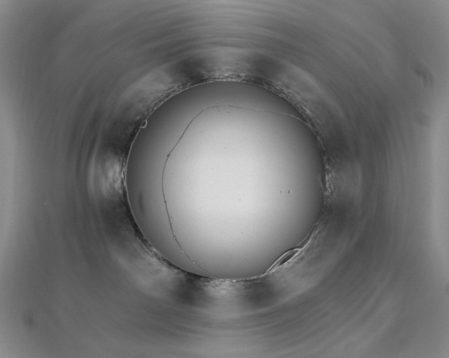 X0000113020142200908271441