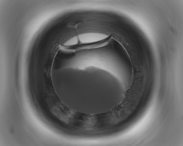 X0000113020143200908271441