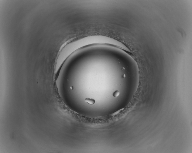 X0000113020144200908271441