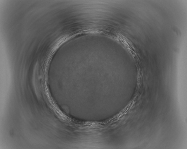 X0000113020145200908271441