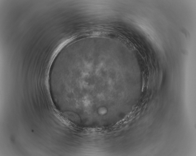 X0000113020147200908271441