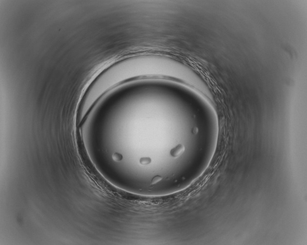 X0000113020148200908271441